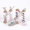 Glass Wishing Bottle DJEW-L012-02-1