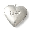 Tarnish Resistant 304 Stainless Steel Diffuser Locket Pendants LS-STAS-K002-06P-1