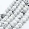Natural Howlite Beads Strands G-F518-22-6mm-1