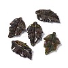 Natural Dragon Blood Pendants G-I336-01-23-3