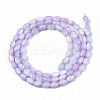 Natural Freshwater Shell Beads Strands SHEL-N003-25-B04-2