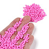 Baking Paint Glass Seed Beads SEED-S002-K2-4