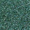 MIYUKI Delica Beads SEED-J020-DB0060-2