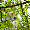 12Pcs Natural Sea Shell Conch Bead in Transparent Glass Bottle Display Decorations AJEW-AB00165-7