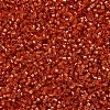 MIYUKI Delica Beads SEED-J020-DB2158-3