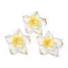 Transparent Epoxy Resin Cabochons CRES-S365-23A-1