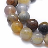 Natural Agate Beads Strands G-I245-70B-01-3