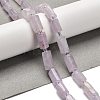 Natural Lavender Amethyst Beads Strands G-K245-I12-01-2