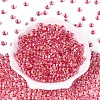 FGB Inside Colours Transparent Glass Seed Beads SEED-T009-01E-1