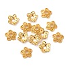Tibetan Style Alloy Bead Caps K0P34012-1