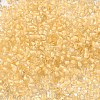 12/0 Transparent Glass Seed Beads X-SEED-F003-03C-14-3