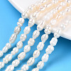 Natural Cultured Freshwater Pearl Beads Strands X-PEAR-N012-04R-3