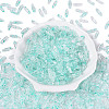 Picasso Transparent Glass Seed Beads SEED-N012-11I-2
