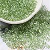 Baking Glass Seed Beads SEED-K009-07A-06-1