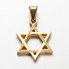 Star of David 304 Stainless Steel Pendants STAS-P085-10-1