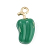 Alloy Enamel Pendants FIND-K020-16G-02-1