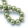 Baking Paint Pearlized Glass Pearl Round Bead Strands HY-Q003-10mm-49-4