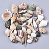 Natural Spiral Shell Pendants SSHEL-N035-02-1