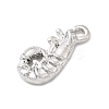 Alloy Pendantss FIND-I066-03P-2