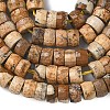 Natural Picture Jasper Heishi Beads Strands G-A299-A05-01-5
