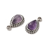 Natural Amethyst Teardrop Charms STAS-B074-04P-04-2
