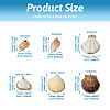 Craftdady 12Pcs 6 Style Shell Pendants DIY-CD0001-39-3
