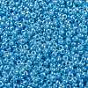 MIYUKI Round Rocailles Beads SEED-G009-RR0433-3