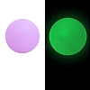 Luminous Food Grade Silicone Beads LS-PW-WG61784-07-1