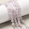 Natural Amethyst Beads Strands G-Z080-A24-8mm-1