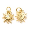 Brass with Cubic Zirconia Pendants KK-K332-18G-1