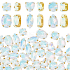 106pcs 6 Style Sew On Rhinestone FIND-OC0004-09G-1