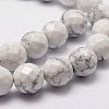 Natural Howlite Beads Strands G-G736-25-6mm-3