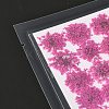 Pressed Dried Flowers DIY-K032-58G-4