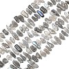 Natural Labradorite Beads Strands G-C273-B01-2