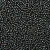 TOHO Round Seed Beads SEED-JPTR08-0383-2