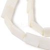 Natural Freshwater Shell Beads Strands BSHE-H018-03-3