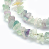 Natural Fluorite Beads Strands G-P332-27-2