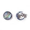 Natural Abalone Shell/Paua Shell Stud Earrings EJEW-JE03214-2