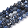 Natural Dumortierite Quartz Beads Strands G-F523-17-10mm-01-1