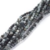 Natural Eagle Eye Stone Beads Strands G-A026-A02-2mm-1