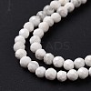 Natural Howlite Beads Strands G-H273-02A-5