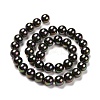Shell Pearl Bead Strands BSHE-L025-05-12mm-5