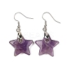 Natutal Amethyst Dangle Earrings EJEW-F343-C09-2