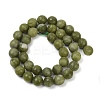 Natural TaiWan Jade Beads Strands G-K310-A23-10mm-01-3