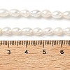 Natural Cultured Freshwater Pearl Beads Strands PEAR-C004-03-5