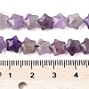 Natural Amethyst Star Beads Strands G-Z080-A04-5