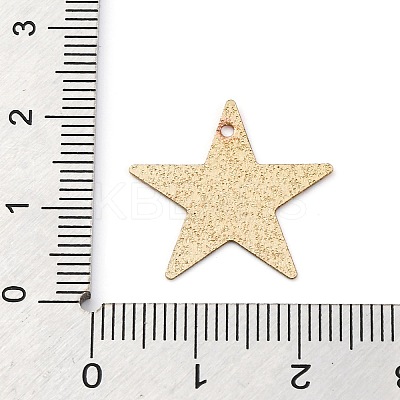 Geometric Alloy Sheet Printed Pendant Earrings Accessories LS-PALLOY-E139-01G-01-1