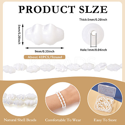 2 Strands Natural Trochus Shell Beads Strands SHEL-TA0001-20-1
