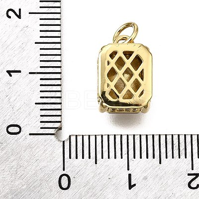 Brass Glass Charms KK-V011-32G-1