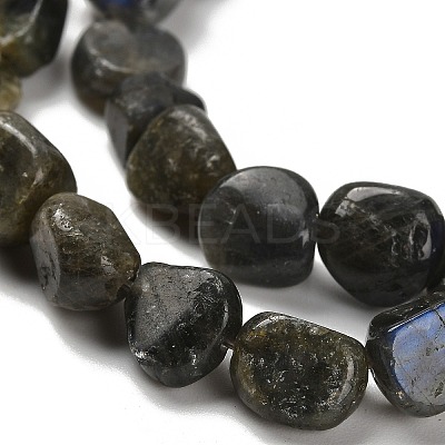Natural Larvikite Beads Strands G-P497-01E-85-1